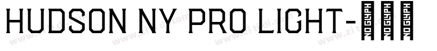 Hudson NY Pro Light字体转换